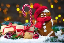 Merry Christmas from all of us! Here&rsquo;s to a season of love and harmony..